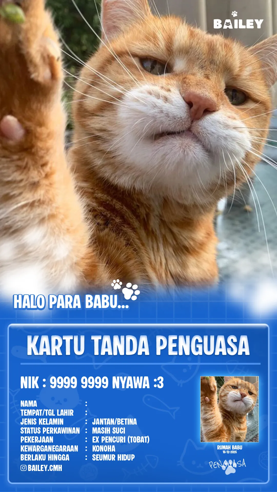 Contoh Kartu Tanda Penguasa berisi foto kucing oyen